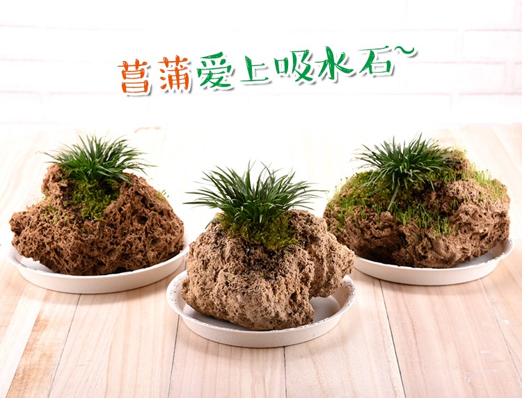 TB2Kiacnr5YBuNjSspoXXbeNFXa_!!3498715891.jpg TB2Kiacnr5YBuNjSspoXXbeNFXa_!!3498715891.jpg