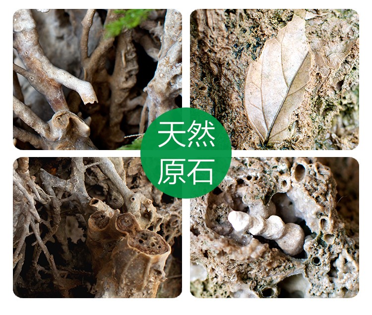 TB2Yq.od0RopuFjSZFtXXcanpXa_!!2465541985.jpg TB2Yq.od0RopuFjSZFtXXcanpXa_!!2465541985.jpg