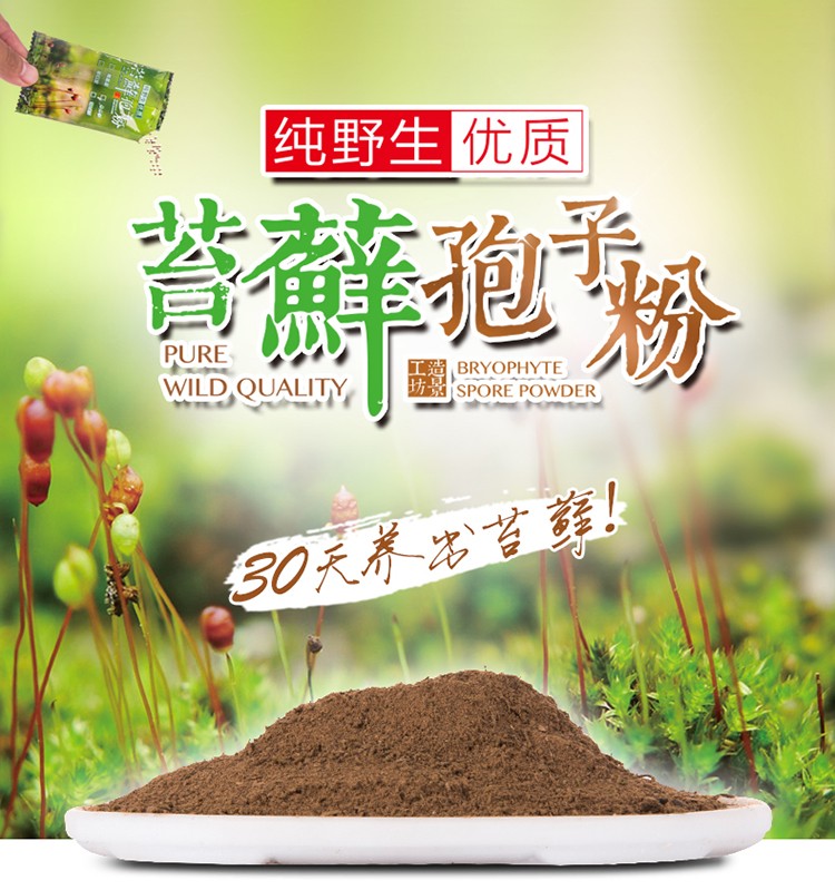 苔蘚孢子粉詳情750像素_01.jpg