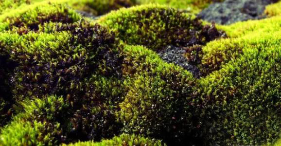 u=1102342998,4292323748&fm=26&gp=0.jpg u=1102342998,4292323748&fm=26&gp=0.jpg