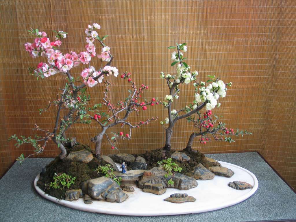 8ccdd38aba9411e7abb100163e010ef1.jpg 8ccdd38aba9411e7abb100163e010ef1.jpg