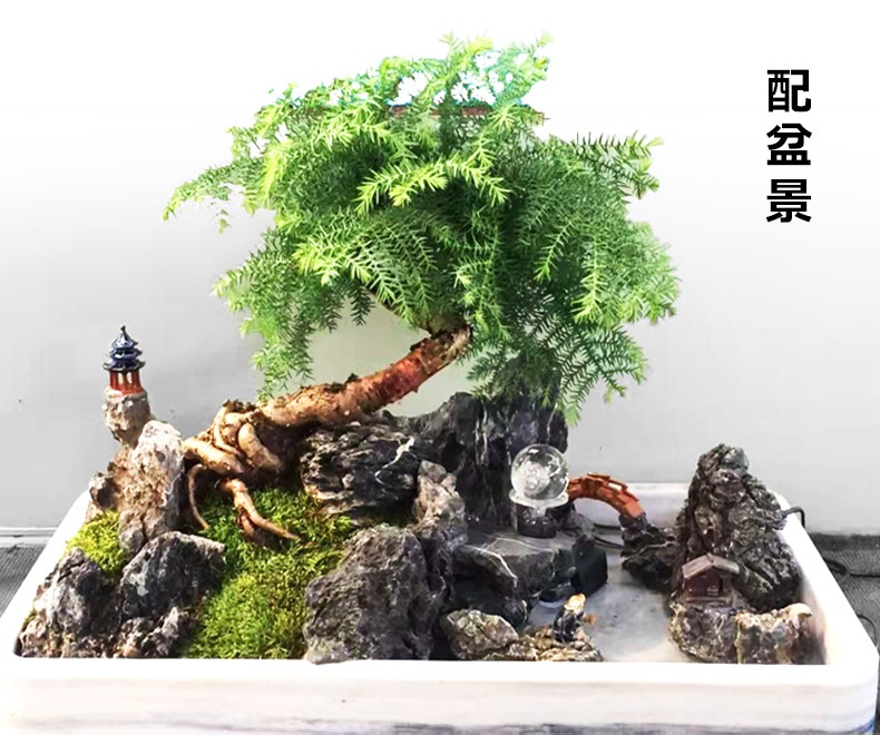 2019032412004619675.jpg 2019032412004619675.jpg