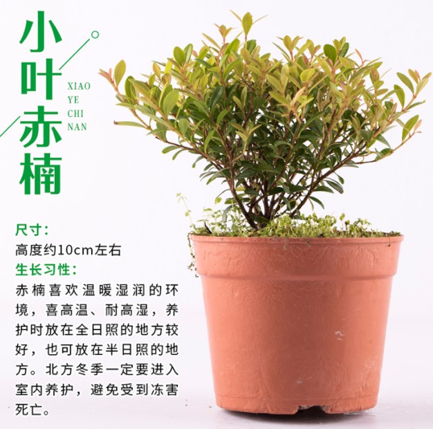 {6826B927-55CD-4CAA-AA54-57DB0A3460AA}_20190517091446.jpg {6826B927-55CD-4CAA-AA54-57DB0A3460AA}_20190517091446.jpg