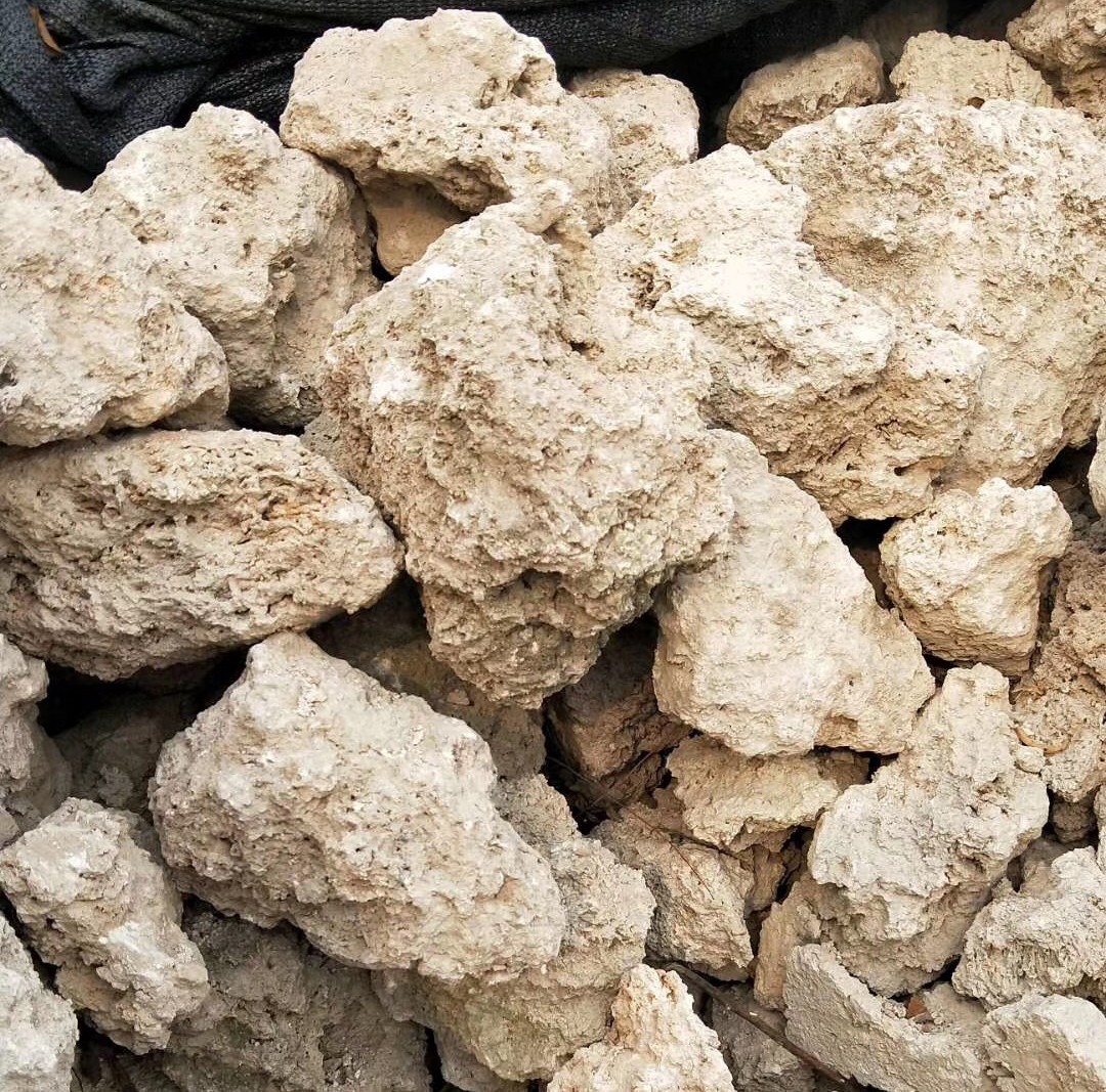 O1CN01MTsL9q1b3p68cRBlD_!!2208863410.jpg O1CN01MTsL9q1b3p68cRBlD_!!2208863410.jpg