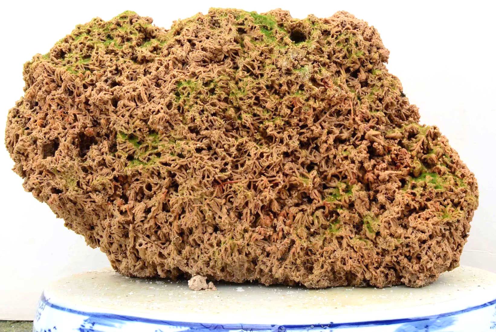 2019032408043284350.jpg 2019032408043284350.jpg