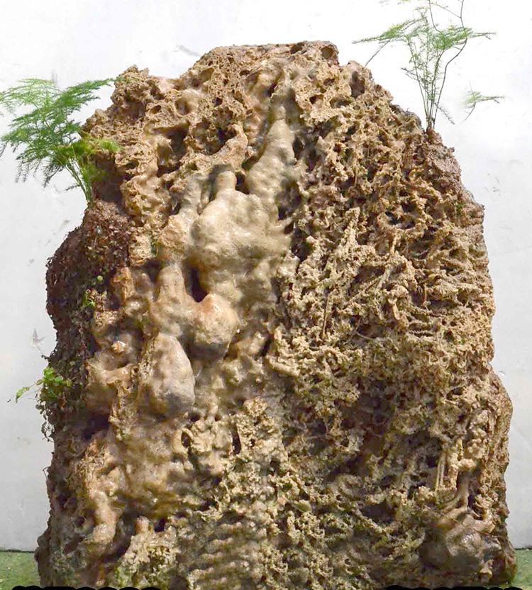 O1CN01yNX18e1QXAjMpbFiH_!!2465541985.jpg O1CN01yNX18e1QXAjMpbFiH_!!2465541985.jpg