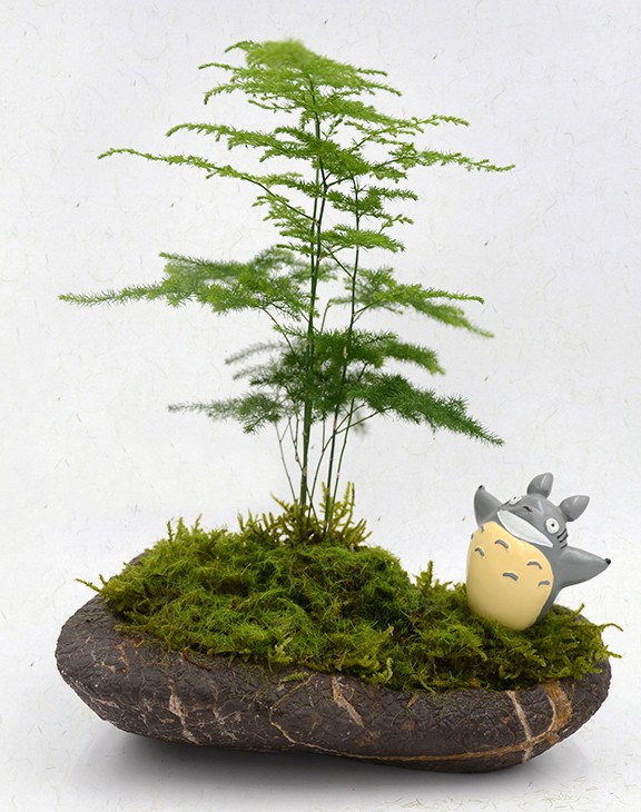 TB2JrYjtMJlpuFjSspjXXcT.pXa_!!2465541985.jpg TB2JrYjtMJlpuFjSspjXXcT.pXa_!!2465541985.jpg